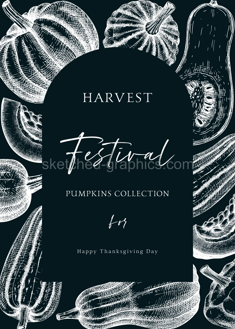 Pumpkins greeting card arc design. Thanksgiving background on chalkboard. Autumn food vintage sketches. Vector vegetables, butternut squash, marrow, pumpkin sketches. Fall harvest invitation. Illustration